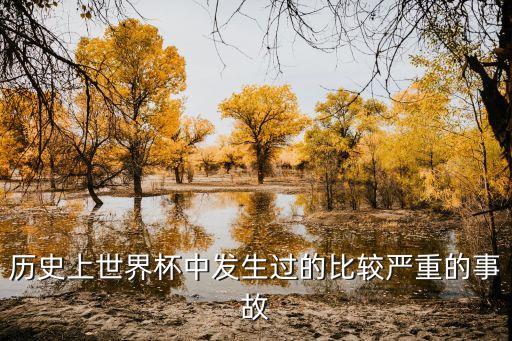 歷史上世界杯中發(fā)生過的比較嚴(yán)重的事故