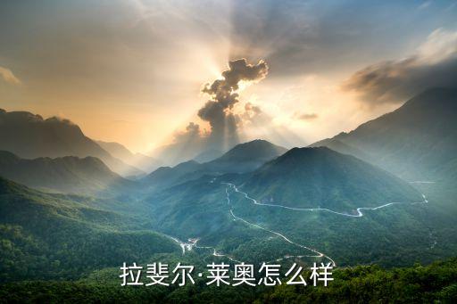 拉斐爾·萊奧怎么樣