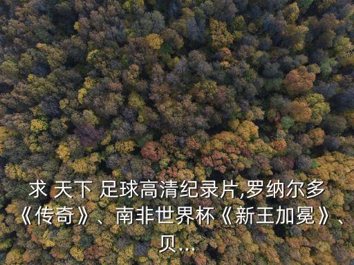 求 天下 足球高清紀錄片,羅納爾多《傳奇》、南非世界杯《新王加冕》、貝...