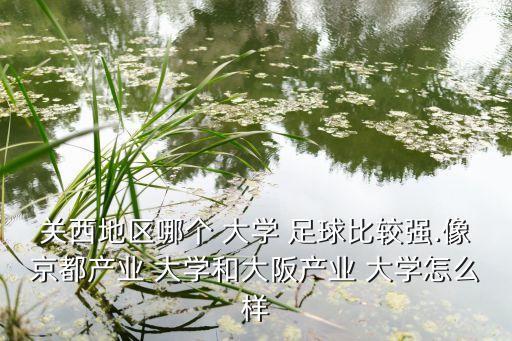 關(guān)西地區(qū)哪個(gè) 大學(xué) 足球比較強(qiáng).像京都產(chǎn)業(yè) 大學(xué)和大阪產(chǎn)業(yè) 大學(xué)怎么樣