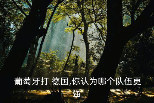  葡萄牙打 德國,你認(rèn)為哪個隊伍更強(qiáng)