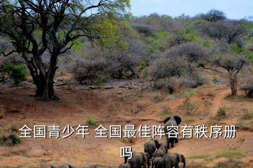  全國青少年 全國最佳陣容有秩序冊嗎