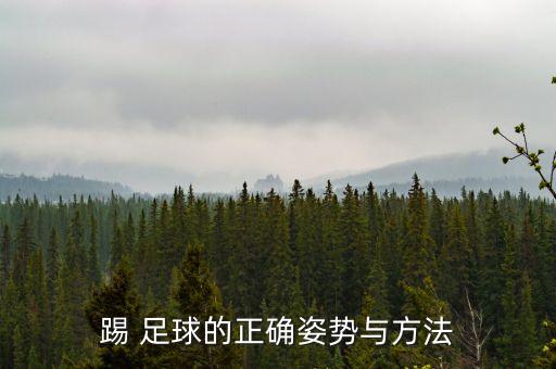 足球腳外側(cè)運(yùn)球課堂,足球外腳背運(yùn)球教案