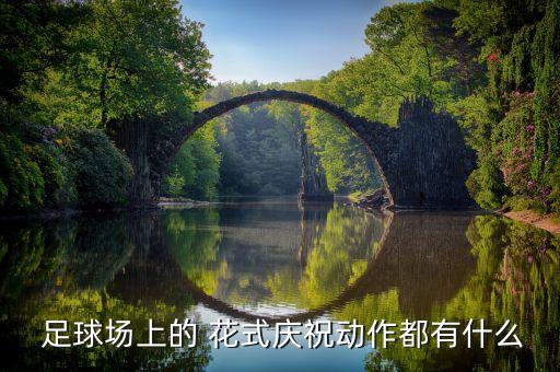  足球場上的 花式慶祝動作都有什么