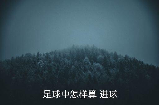  足球中怎樣算 進球