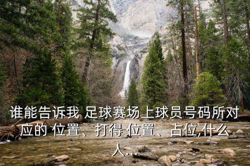 誰(shuí)能告訴我 足球賽場(chǎng)上球員號(hào)碼所對(duì)應(yīng)的 位置、打得 位置、占位,什么人...