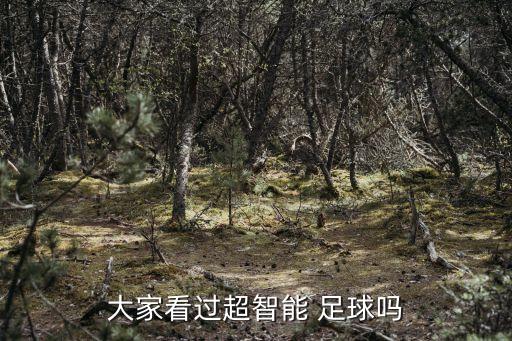 大家看過超智能 足球嗎
