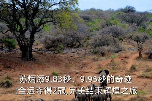 蘇炳添9.83秒、9.95秒的奇跡!全運(yùn)奪得2冠,完美結(jié)束輝煌之旅