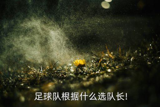 足球隊(duì)長(zhǎng)一般都是什么位置的球員