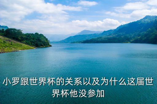 小羅跟世界杯的關(guān)系以及為什么這屆世界杯他沒參加