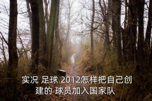  實況 足球 2012怎樣把自己創(chuàng)建的 球員加入國家隊