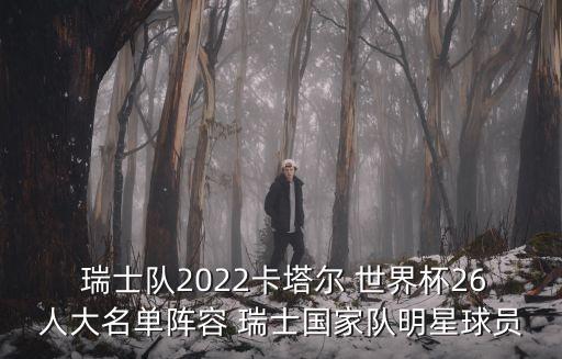  瑞士隊(duì)2022卡塔爾 世界杯26人大名單陣容 瑞士國(guó)家隊(duì)明星球員