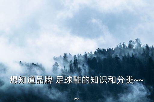 想知道品牌 足球鞋的知識(shí)和分類~~~