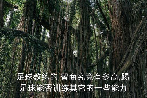  足球教練的 智商究竟有多高,踢 足球能否訓(xùn)練其它的一些能力