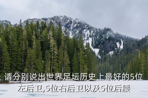 請分別說出世界足壇歷史上最好的5位左后衛(wèi),5位右后衛(wèi)以及5位后腰