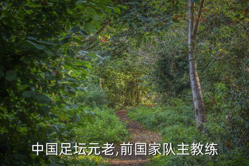 中國足壇元老,前國家隊(duì)主教練