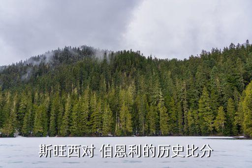 斯旺西對(duì) 伯恩利的歷史比分