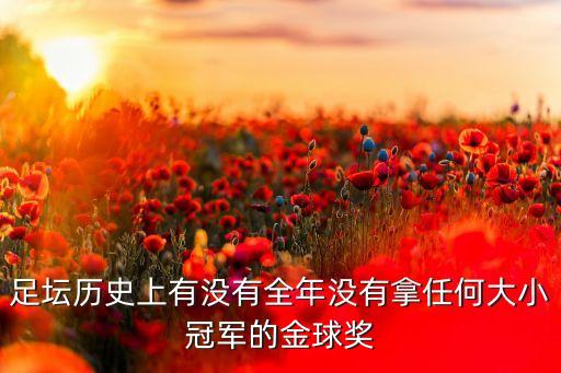 足壇歷史上有沒(méi)有全年沒(méi)有拿任何大小冠軍的金球獎(jiǎng)