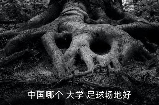 哪個(gè)大學(xué)足球強(qiáng),中國哪個(gè)大學(xué)足球氛圍最好