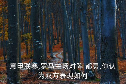 都靈足球比分,都靈與ac米蘭足球比分預(yù)測