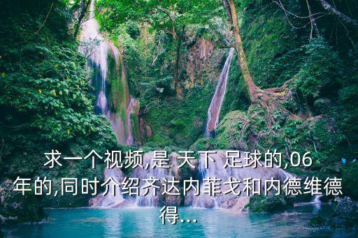 求一個視頻,是 天下 足球的,06年的,同時介紹齊達內菲戈和內德維德得...
