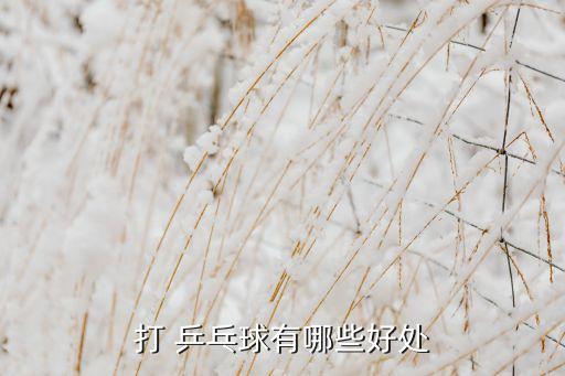 打乒乓的管理足球