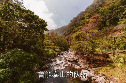 中國足球隊(duì)標(biāo)圖