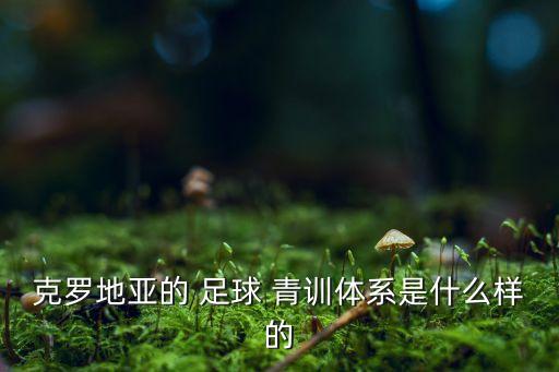 克羅地亞的 足球 青訓體系是什么樣的