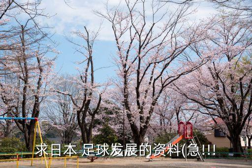 求日本 足球發(fā)展的資料(急!!!