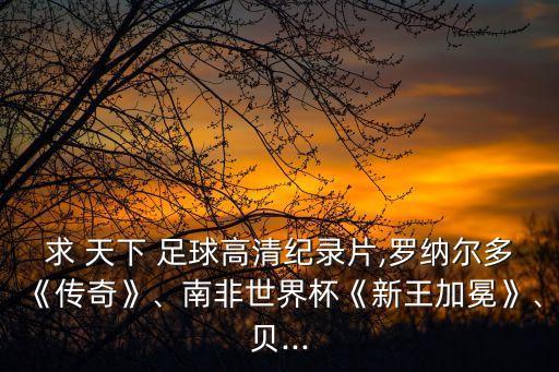 求 天下 足球高清紀(jì)錄片,羅納爾多《傳奇》、南非世界杯《新王加冕》、貝...