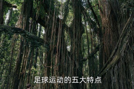 國際足球?qū)官愔楹? /></a><a href=