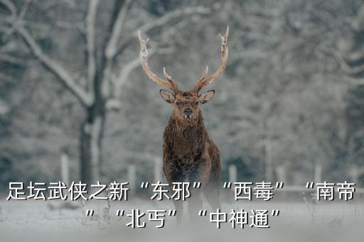 黃藥師足球競(jìng)彩網(wǎng)站,競(jìng)彩黃藥師怎么找不到了