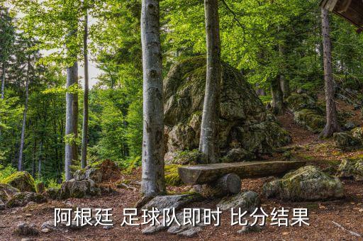 阿根廷 足球隊(duì)即時(shí) 比分結(jié)果