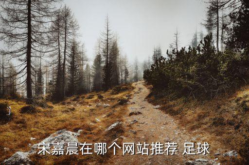 宋嘉晨在哪個網(wǎng)站推薦 足球