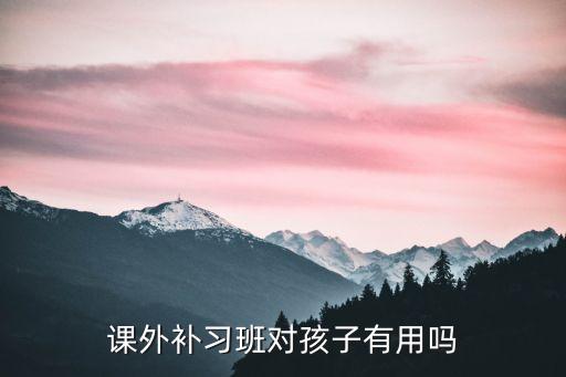 課外補(bǔ)習(xí)班對孩子有用嗎