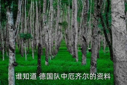 誰知道 德國隊中厄齊爾的資料