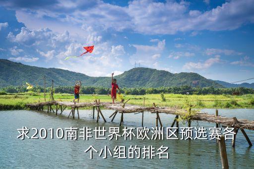 求2010南非世界杯歐洲區(qū)預選賽各個小組的排名