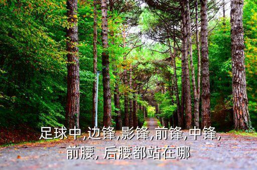 足球的后腰在那個位置圖,足球前腰和后腰位置圖
