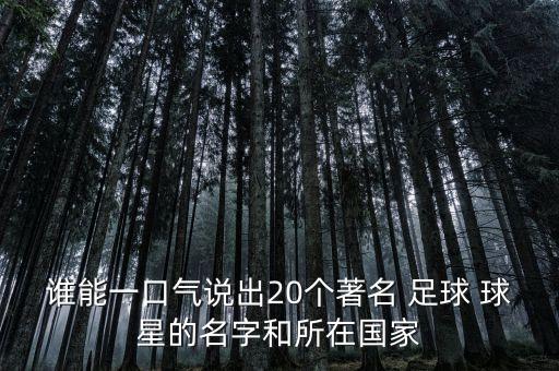 誰(shuí)能一口氣說(shuō)出20個(gè)著名 足球 球星的名字和所在國(guó)家