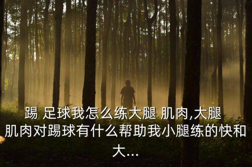 踢 足球我怎么練大腿 肌肉,大腿 肌肉對(duì)踢球有什么幫助我小腿練的快和大...