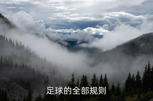充氣大足球場(chǎng),有一個(gè)大足球場(chǎng)的英文