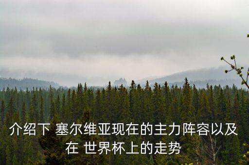介紹下 塞爾維亞現(xiàn)在的主力陣容以及在 世界杯上的走勢(shì)