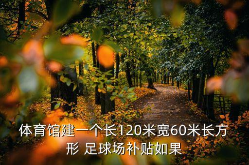 國務院足球改革政策,國家關于足球改革政策