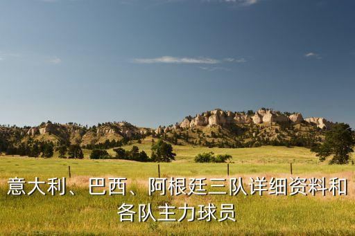 意大利、巴西、阿根廷三隊(duì)詳細(xì)資料和各隊(duì)主力球員