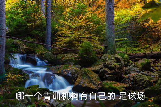 哪一個青訓(xùn)機構(gòu)有自己的 足球場