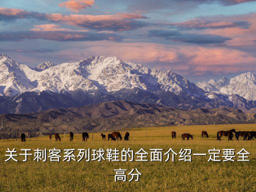 關(guān)于刺客系列球鞋的全面介紹一定要全高分