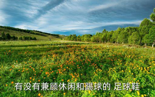 阿迪達(dá)斯足球鞋ace