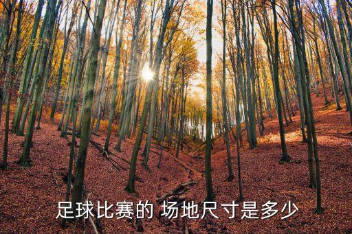  足球比賽的 場地尺寸是多少