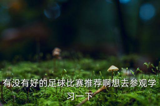 有沒(méi)有好的足球比賽推薦啊想去參觀(guān)學(xué)習(xí)一下