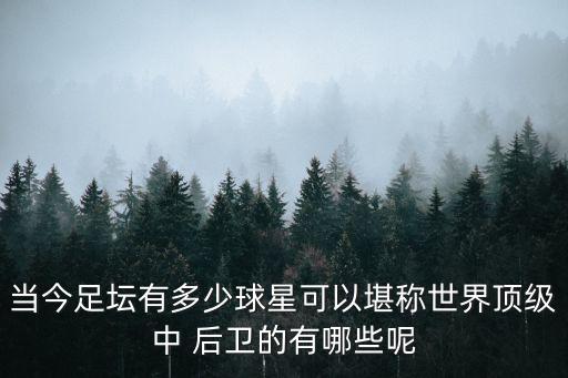當(dāng)今足壇有多少球星可以堪稱世界頂級中 后衛(wèi)的有哪些呢